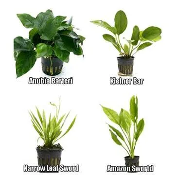 4 Potted Live Aquarium Plants Bundle - Anubia, Amazon Sword, Kleiner Bar, Narrow Leaf