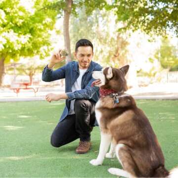 insum Squeaky Tennis Balls for Dogs Colorful Easy Catching Pet Dog Balls 4 Pack (2.5inch-Brown)