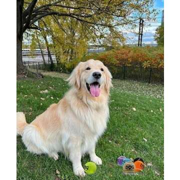 insum Squeaky Tennis Balls for Dogs Colorful Easy Catching Pet Dog Balls 4 Pack (2.5inch-Brown)