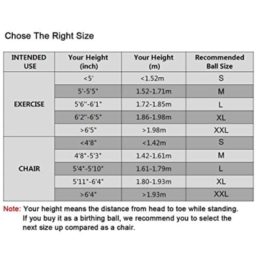 Trideer Exercise Ball - Durable Stability Ball with Pump