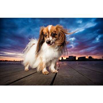 FitBark Dog Activity Monitor, Baby Pink