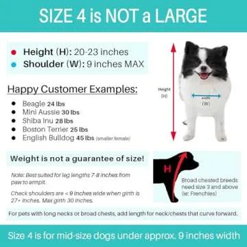 Pandaloon Dog Halloween Costume - As Seen on Shark Tank - Patented - Funny Costume with Arms for Small and Medium Dogs and Cats (Teddy Bear, Size 4(20-23 in Height at TOP of Head,Girth<27 in))