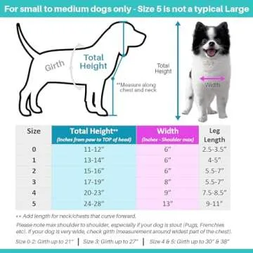 Pandaloon Dog Halloween Costume - As Seen on Shark Tank - Patented - Funny Costume with Arms for Small and Medium Dogs and Cats (Teddy Bear, Size 4(20-23 in Height at TOP of Head,Girth<27 in))