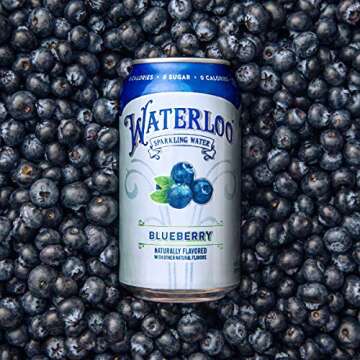 Waterloo Blueberry Sparkling Water - Pack of 12 Cans