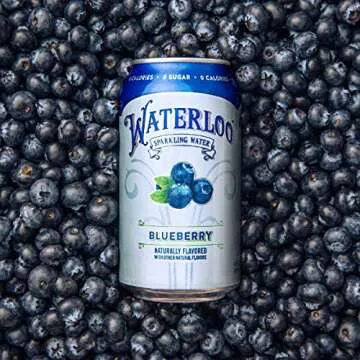 Waterloo Blueberry Sparkling Water - Pack of 12 Cans