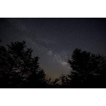 Sigma 14mm F/1.8 Art Lens for Nikon - Perfect for Astrophotography