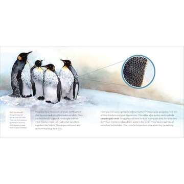 All About Penguins: Discover Life on Land and in the Sea