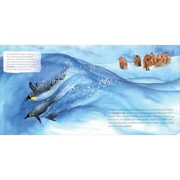 All About Penguins: Discover Life on Land and in the Sea