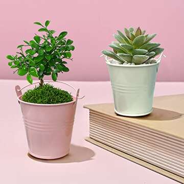 16 Pack Colorful Mini Metal Buckets Small Metal Pail Tinplate Tin Pails Containers with Handles for Party Favors and Garden Decorations