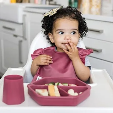 Tiny Twinkle Waterproof Baby Bib Adjustable Safe Stylish