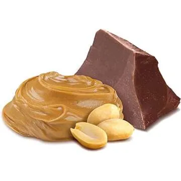 Probar Peanut Butter Chocolate Protein Bar - 15g Protein