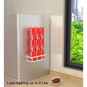 Alphyse Magnetic Spice Rack Organizer for Refrigerator