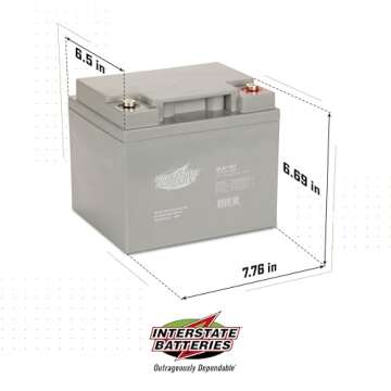 Interstate Batteries 12V 44Ah Battery (Insert Terminal) SLA AGM VRLA Rechargeable Replacement for UPS Backup Power, Fire & Security, Emergency Lighting (SLA1161)