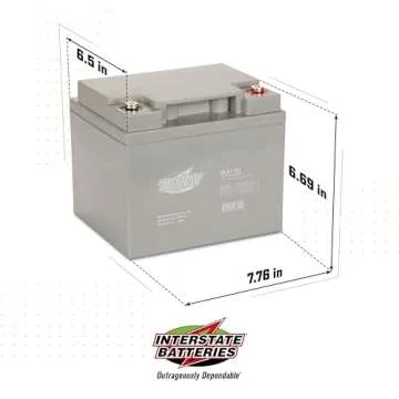 Interstate Batteries 12V 44Ah Battery (Insert Terminal) SLA AGM VRLA Rechargeable Replacement for UPS Backup Power, Fire & Security, Emergency Lighting (SLA1161)