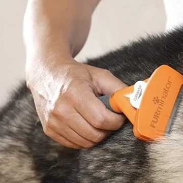 FURminator deShedding Tool for Medium Short-Haired Dogs