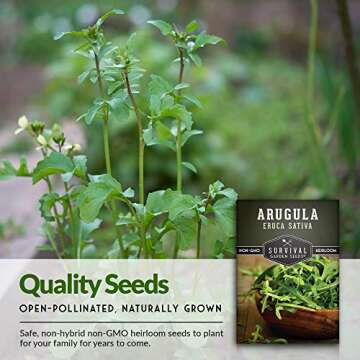 Survival Garden Seeds - Arugula Seeds for Planting - 1 Pack with Instructions to Grow Garden Rocket Green Leafy Vegetables in Your Home Vegetable Garden - Non-GMO Heirloom