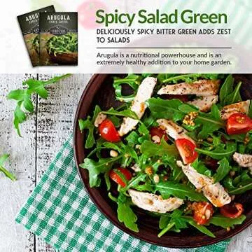 Survival Garden Seeds - Arugula Seeds for Planting - 1 Pack with Instructions to Grow Garden Rocket Green Leafy Vegetables in Your Home Vegetable Garden - Non-GMO Heirloom