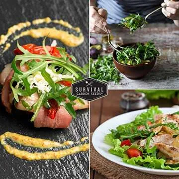 Survival Garden Seeds - Arugula Seeds for Planting - 1 Pack with Instructions to Grow Garden Rocket Green Leafy Vegetables in Your Home Vegetable Garden - Non-GMO Heirloom