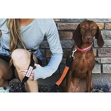 Hands-Free Dog Leash for Active Owners - IRON DOGGY