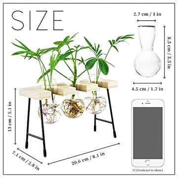 YIYUN Air Plant Terrarium,Propagation Stations for Desk Glass Terrarium Bulb Glass Vase with Wooden Stand Propagation Station for Hydroponics Plants Home Office Garden Decor
