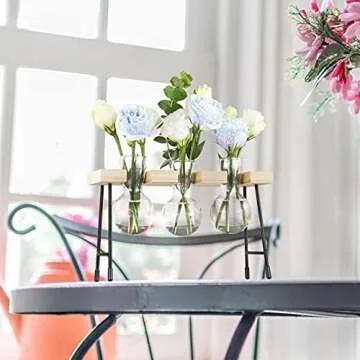 YIYUN Air Plant Terrarium,Propagation Stations for Desk Glass Terrarium Bulb Glass Vase with Wooden Stand Propagation Station for Hydroponics Plants Home Office Garden Decor