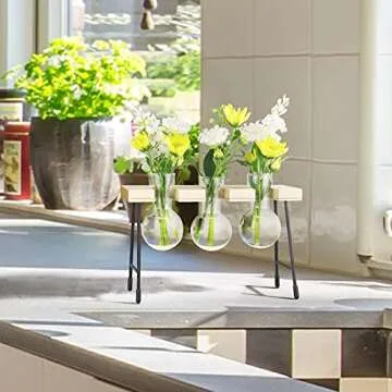 YIYUN Air Plant Terrarium,Propagation Stations for Desk Glass Terrarium Bulb Glass Vase with Wooden Stand Propagation Station for Hydroponics Plants Home Office Garden Decor