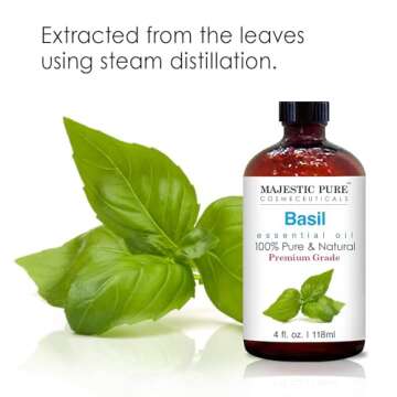 Buy Majestic Pure Basil Oil 100% Natural 4 Fl Oz Essential Oil