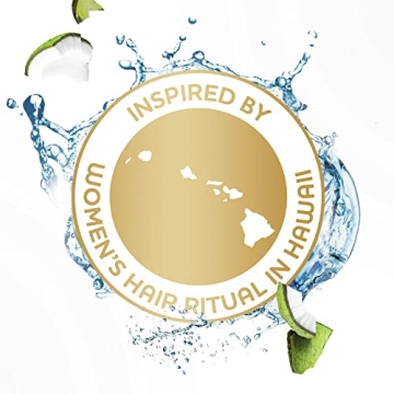 Coconut Hydration Shampoo 6 Count for Dry Hair