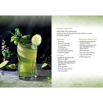 Witch's Brew: Magickal Cocktails to Raise the Spirits - A Cocktail Book