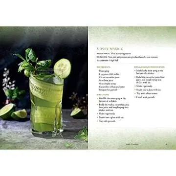 Witch's Brew: Magickal Cocktails to Raise the Spirits - A Cocktail Book