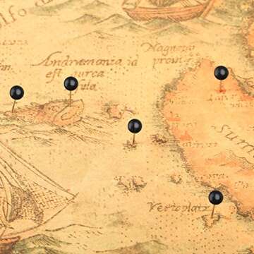 500 Pack Map Push Pins 1/8 Inch Black Map Tacks Small Round Head Push Pins Thumb Tacks for Travel Picture Photo Bulletin Board Wall DIY Craft Home School Office