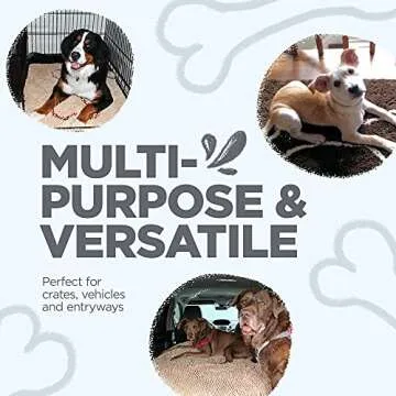 Soggy Doggy Doormat for Muddy Paws - Ultra Absorbent