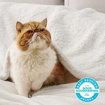 Bedsure Sherpa Fleece Throw Blanket for Couch - Thick and Warm, Soft Fuzzy Plush Throw Blanket for W...