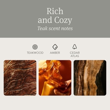 Long Lasting Drift Car Air Freshener with Metal Clip