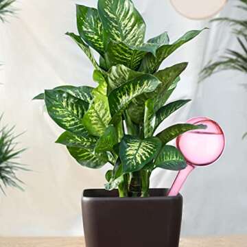 12Pcs Clear Plant Watering Globes, Automatic Self-Watering Bulbs, Mini Lazy Watering Drip Irrigation Equipment for Indoor Outdoor Decor Watering System(Pink Small)