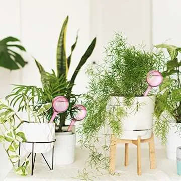 12Pcs Clear Plant Watering Globes, Automatic Self-Watering Bulbs, Mini Lazy Watering Drip Irrigation Equipment for Indoor Outdoor Decor Watering System(Pink Small)