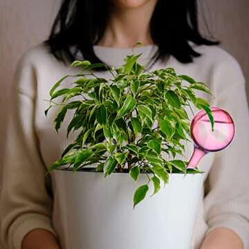 12Pcs Clear Plant Watering Globes, Automatic Self-Watering Bulbs, Mini Lazy Watering Drip Irrigation Equipment for Indoor Outdoor Decor Watering System(Pink Small)