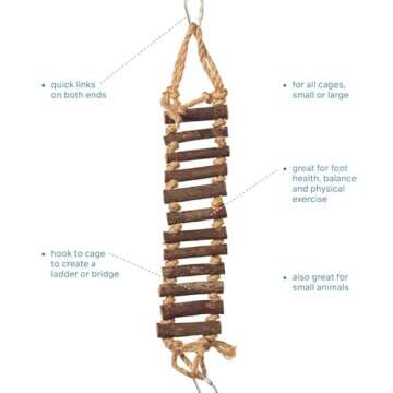 Buy Prevue Naturals Rope Ladder Bird Toy for Pet Play