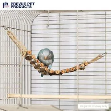 Buy Prevue Naturals Rope Ladder Bird Toy for Pet Play