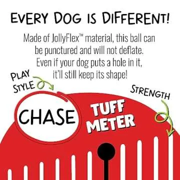Durable Jolly Pets Medium Soccer Ball for Dog Play