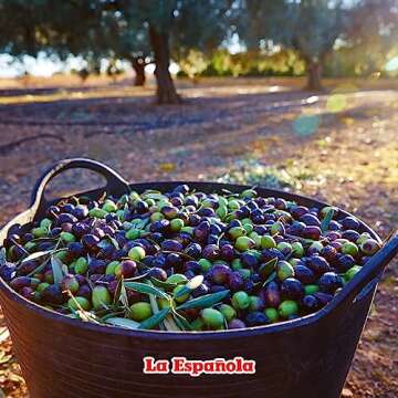 La Española Premium First Cold Pressed Olive Oil - 24 oz