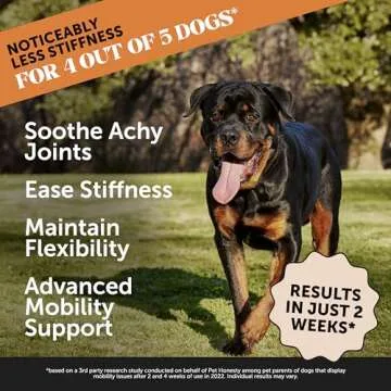 Pet Honesty Hip & Joint Health Max Strength Chews for Dogs - Natural Support for Mobility