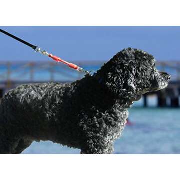 Bungee Dog Leash Extension - Ultimate Shock Absorber Attachment