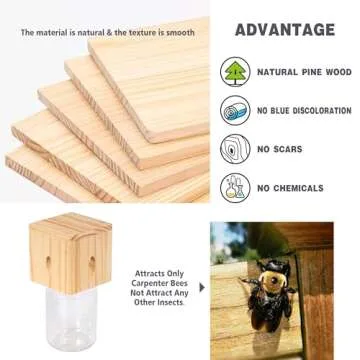 Wood Carpenter Bee Trap - Effective Outdoor Protection