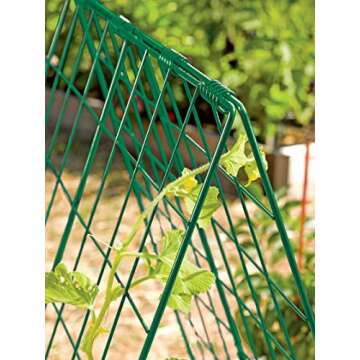 Gardeners Supply Deluxe Cucumber Trellis for Easy Plant Support