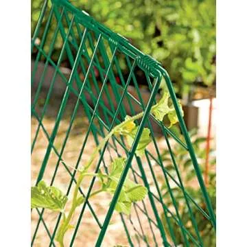 Gardeners Supply Deluxe Cucumber Trellis for Easy Plant Support