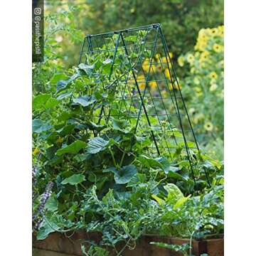 Gardeners Supply Deluxe Cucumber Trellis for Easy Plant Support