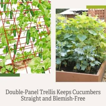 Gardeners Supply Deluxe Cucumber Trellis for Easy Plant Support