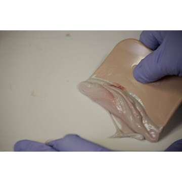 3M Bondo Spreader, 3 Pack - Ideal for Smooth Finishing