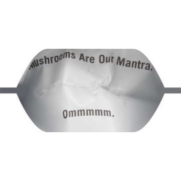 OM Mushroom Superfood Cordyceps Organic Powder for Energy